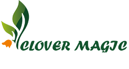 Clover Magic Nova Beach Hotel