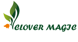 Clover Magic Seagate Hotel